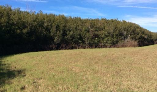 Photo of UNDER CONTRACT!  1.17 Acres of Land For Sale in Hyde County NC!