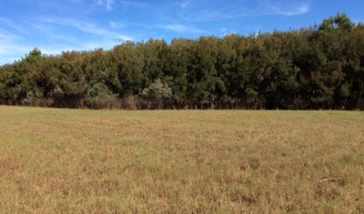 Photo of UNDER CONTRACT!  1.17 Acres of Land For Sale in Hyde County NC!
