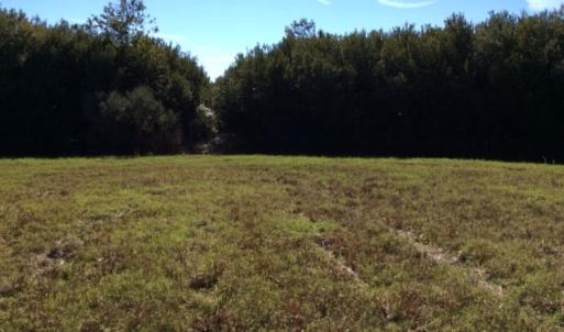 Photo of UNDER CONTRACT!  1.17 Acres of Land For Sale in Hyde County NC!