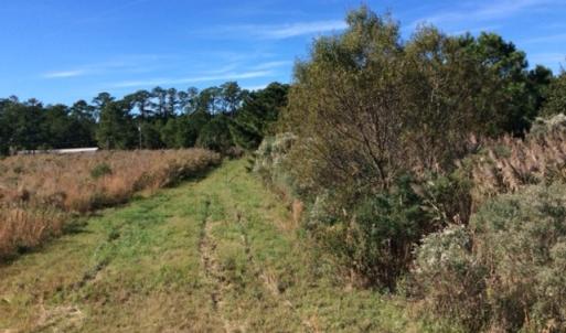 Photo of UNDER CONTRACT!  1.17 Acres of Land For Sale in Hyde County NC!
