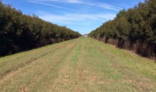 Photo of UNDER CONTRACT!  .76 Acres of Land For Sale in Hyde County NC!