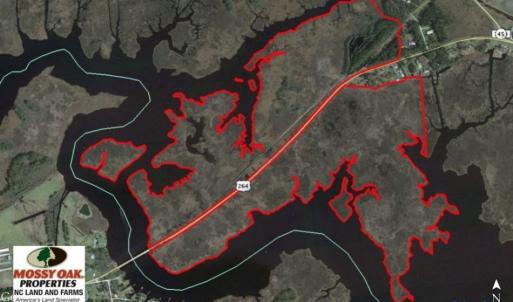 Photo of UNDER CONTRACT!  286 ac Waterfront Hunting Land for Sale in Hyde County NC!