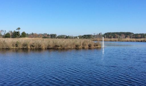 Photo of UNDER CONTRACT!  286 ac Waterfront Hunting Land for Sale in Hyde County NC!