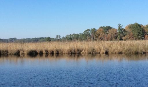 Photo of UNDER CONTRACT!  286 ac Waterfront Hunting Land for Sale in Hyde County NC!