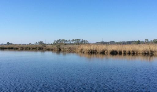 Photo of UNDER CONTRACT!  286 ac Waterfront Hunting Land for Sale in Hyde County NC!