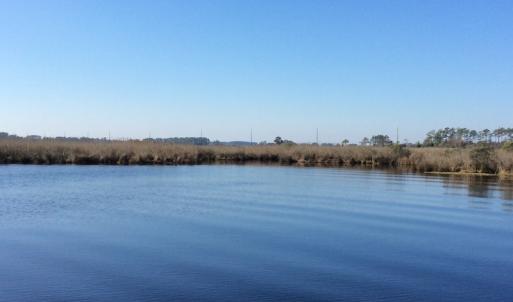 Photo of UNDER CONTRACT!  286 ac Waterfront Hunting Land for Sale in Hyde County NC!