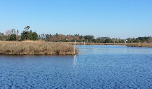 Photo of UNDER CONTRACT!  286 ac Waterfront Hunting Land for Sale in Hyde County NC!