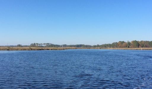 Photo of UNDER CONTRACT!  286 ac Waterfront Hunting Land for Sale in Hyde County NC!