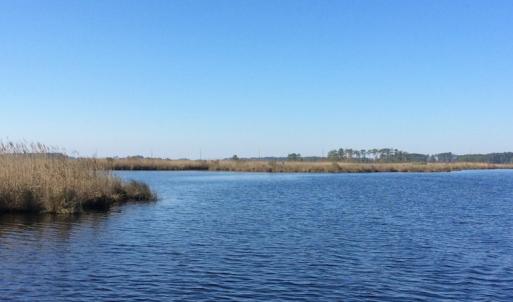 Photo of UNDER CONTRACT!  286 ac Waterfront Hunting Land for Sale in Hyde County NC!