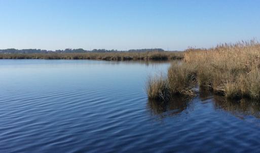 Photo of UNDER CONTRACT!  286 ac Waterfront Hunting Land for Sale in Hyde County NC!
