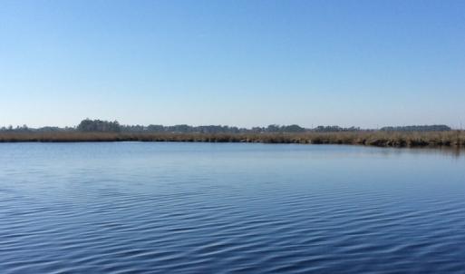 Photo of UNDER CONTRACT!  286 ac Waterfront Hunting Land for Sale in Hyde County NC!