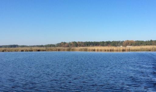 Photo of UNDER CONTRACT!  286 ac Waterfront Hunting Land for Sale in Hyde County NC!
