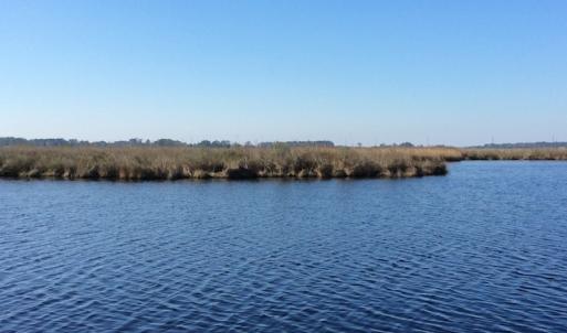 Photo of UNDER CONTRACT!  286 ac Waterfront Hunting Land for Sale in Hyde County NC!