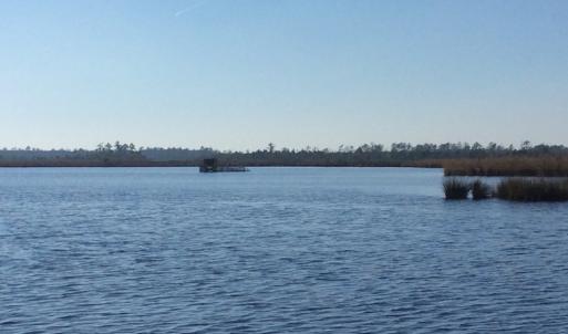 Photo of UNDER CONTRACT!  286 ac Waterfront Hunting Land for Sale in Hyde County NC!