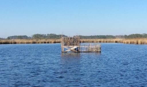 Photo of UNDER CONTRACT!  286 ac Waterfront Hunting Land for Sale in Hyde County NC!