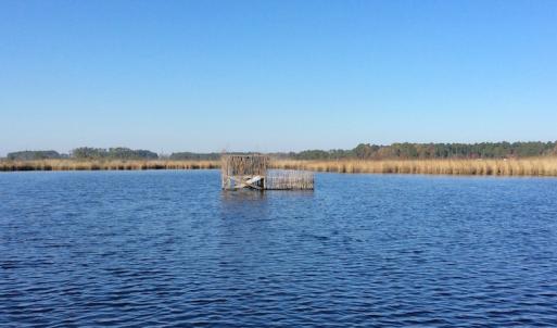 Photo of UNDER CONTRACT!  286 ac Waterfront Hunting Land for Sale in Hyde County NC!