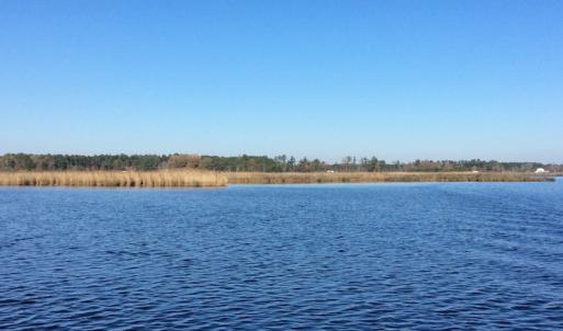Photo of UNDER CONTRACT!  286 ac Waterfront Hunting Land for Sale in Hyde County NC!