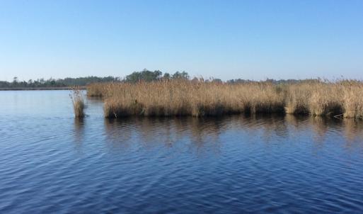 Photo of UNDER CONTRACT!  286 ac Waterfront Hunting Land for Sale in Hyde County NC!