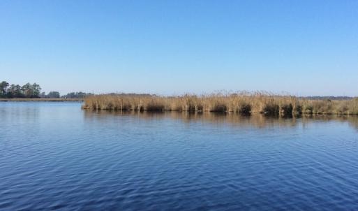 Photo of UNDER CONTRACT!  286 ac Waterfront Hunting Land for Sale in Hyde County NC!