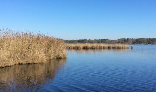 Photo of UNDER CONTRACT!  286 ac Waterfront Hunting Land for Sale in Hyde County NC!