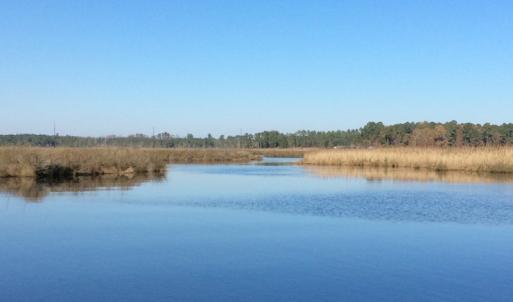 Photo of UNDER CONTRACT!  286 ac Waterfront Hunting Land for Sale in Hyde County NC!