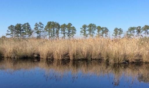 Photo of UNDER CONTRACT!  286 ac Waterfront Hunting Land for Sale in Hyde County NC!