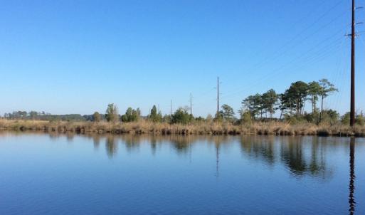 Photo of UNDER CONTRACT!  286 ac Waterfront Hunting Land for Sale in Hyde County NC!