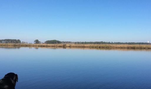 Photo of UNDER CONTRACT!  286 ac Waterfront Hunting Land for Sale in Hyde County NC!