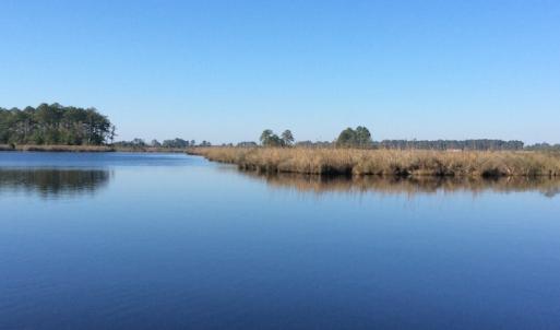 Photo of UNDER CONTRACT!  286 ac Waterfront Hunting Land for Sale in Hyde County NC!