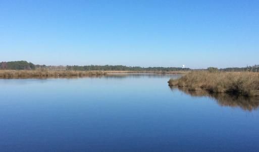 Photo of UNDER CONTRACT!  286 ac Waterfront Hunting Land for Sale in Hyde County NC!