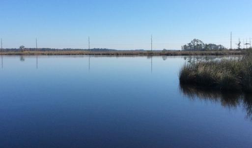 Photo of UNDER CONTRACT!  286 ac Waterfront Hunting Land for Sale in Hyde County NC!