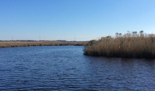 Photo of UNDER CONTRACT!  286 ac Waterfront Hunting Land for Sale in Hyde County NC!