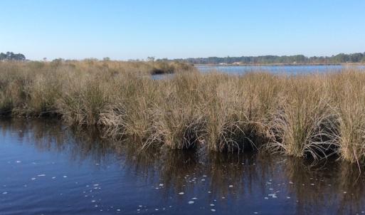 Photo of UNDER CONTRACT!  286 ac Waterfront Hunting Land for Sale in Hyde County NC!