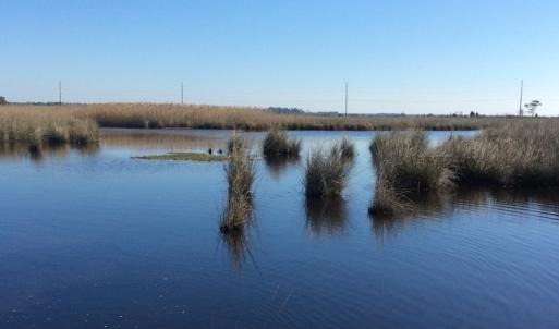 Photo of UNDER CONTRACT!  286 ac Waterfront Hunting Land for Sale in Hyde County NC!