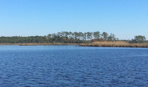 Photo of UNDER CONTRACT!  286 ac Waterfront Hunting Land for Sale in Hyde County NC!