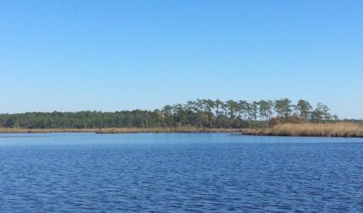 Photo of UNDER CONTRACT!  286 ac Waterfront Hunting Land for Sale in Hyde County NC!