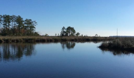 Photo of UNDER CONTRACT!  286 ac Waterfront Hunting Land for Sale in Hyde County NC!
