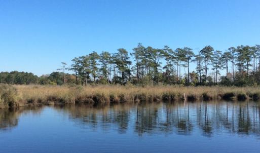 Photo of UNDER CONTRACT!  286 ac Waterfront Hunting Land for Sale in Hyde County NC!