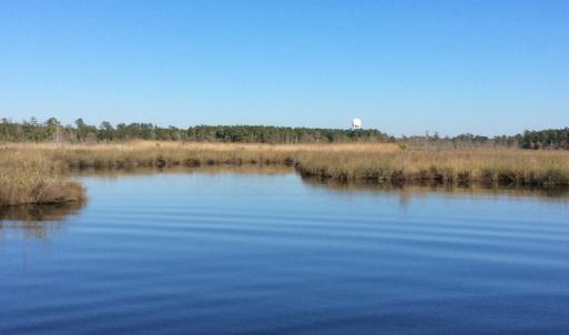 Photo of UNDER CONTRACT!  286 ac Waterfront Hunting Land for Sale in Hyde County NC!
