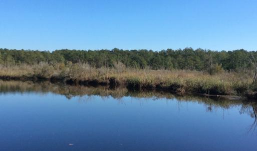 Photo of UNDER CONTRACT!  286 ac Waterfront Hunting Land for Sale in Hyde County NC!