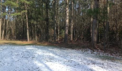 Photo of SOLD!  26 Acres of Hunting Land with Home Site For Sale in Accomack County VA!