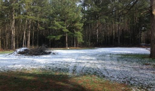 Photo of SOLD!  26 Acres of Hunting Land with Home Site For Sale in Accomack County VA!