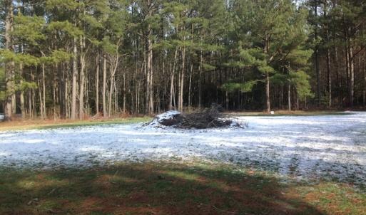Photo of SOLD!  26 Acres of Hunting Land with Home Site For Sale in Accomack County VA!
