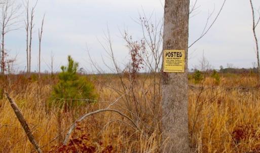 Photo of UNDER CONTRACT!  27.65 Acres of Hunting Land For Sale In Bertie County NC!