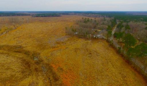 Photo of UNDER CONTRACT!  27.65 Acres of Hunting Land For Sale In Bertie County NC!