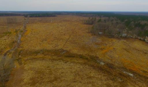 Photo of UNDER CONTRACT!  27.65 Acres of Hunting Land For Sale In Bertie County NC!