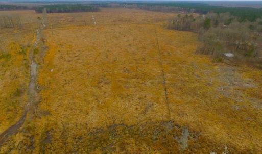 Photo of UNDER CONTRACT!  27.65 Acres of Hunting Land For Sale In Bertie County NC!