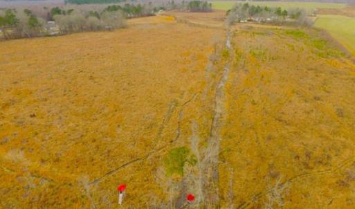 Photo of UNDER CONTRACT!  27.65 Acres of Hunting Land For Sale In Bertie County NC!