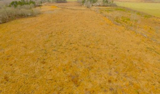 Photo of UNDER CONTRACT!  27.65 Acres of Hunting Land For Sale In Bertie County NC!
