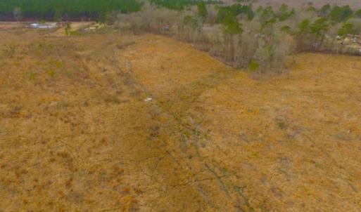 Photo of UNDER CONTRACT!  27.65 Acres of Hunting Land For Sale In Bertie County NC!